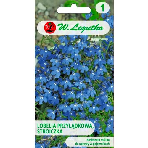 Lobelka modrá (Lobelka drobná) modrá obrázek 1 artikel 78573