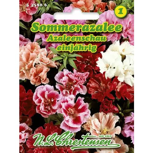 Lokanka mnohokvětá (Azalka letní), směs obrázek 1 artikel 96424