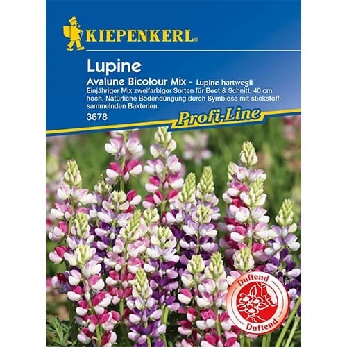 Lupina letní Avalune Bicolor obrázek 1 artikel 86290