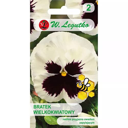 Maceška velkokvětá Silberbraut obrázek 1 artikel 86802