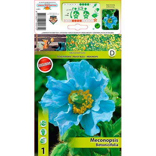 Mák himalajský modrý artikel fotografie 1 Mák himalajský modrý obrázek 1 artikel 76586