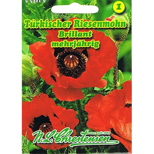Mák orientální Brillant obrázek 1 artikel 78831