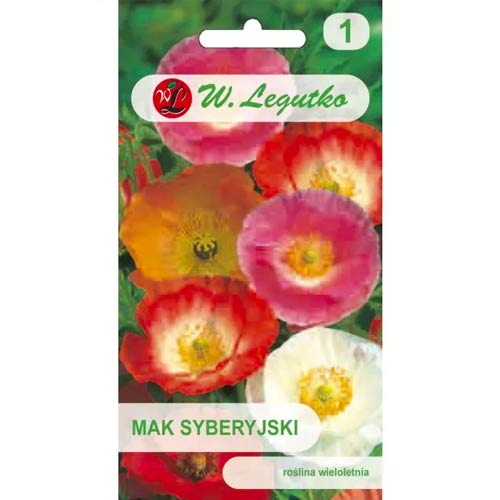 Mák sibiřský, směs obrázek 1 artikel 78608