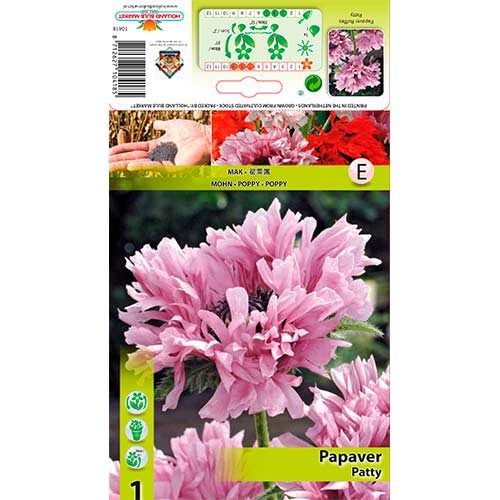 Mák východní Ruffled Patty obrázek 1 artikel 76344