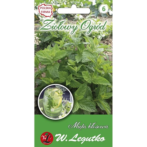 Máta klasnatá obrázek 1 artikel 69679