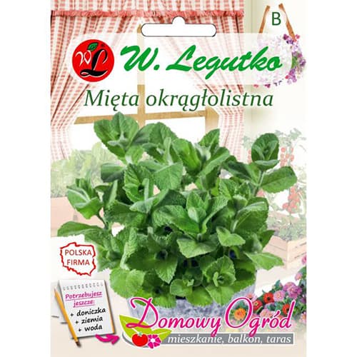 Máta kulatolistá obrázek 1 artikel 69646