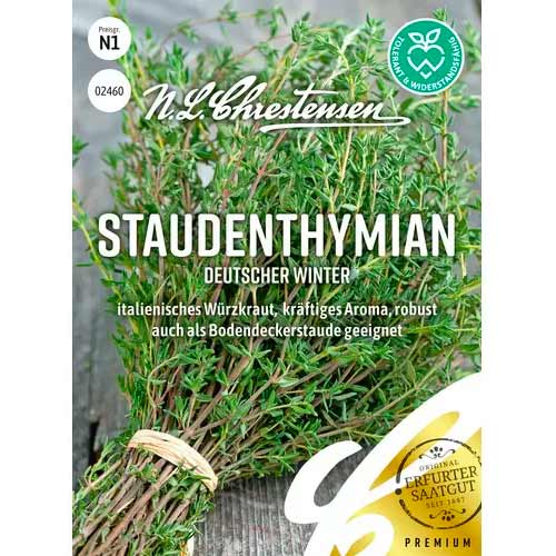 Mateřídouška vytrvalá Deutscher Winter obrázek 1 artikel 50056