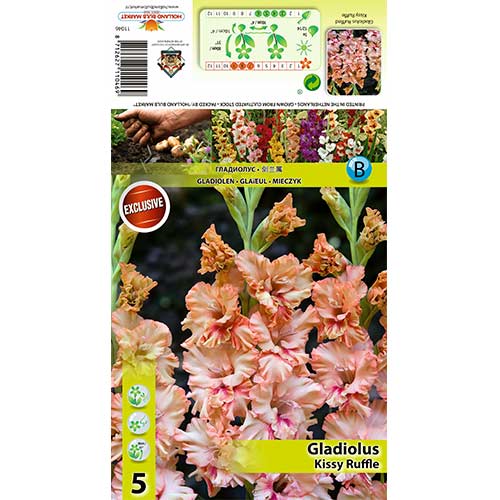 Mečík Kissy Ruffle obrázek 1 artikel 70396