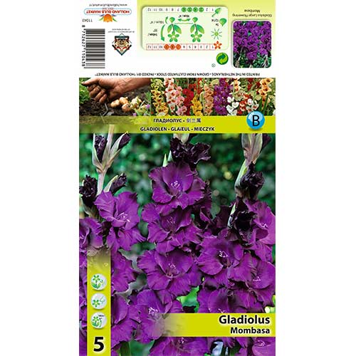 Mečík Monbassa obrázek 1 artikel 70398