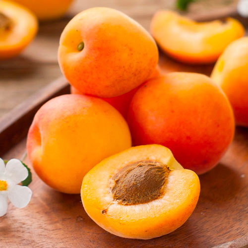 Meruňka South Sea, С2 obrázek 1 artikel 1626