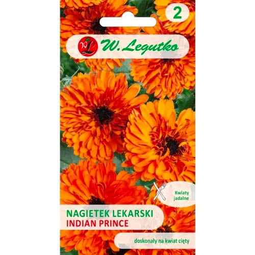 Měsíček lékařský Indian Prince obrázek 1 artikel 78581