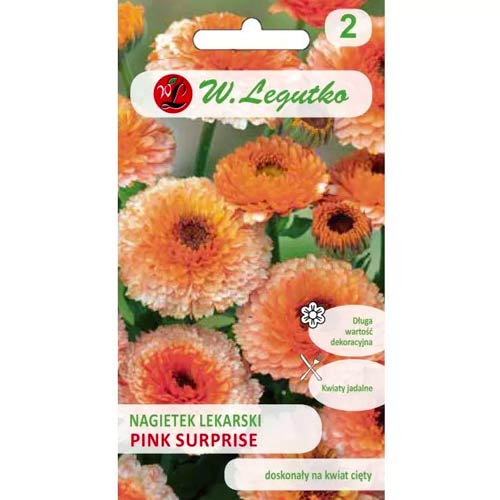 Měsíček lékařský Pink Surprise obrázek 1 artikel 78582