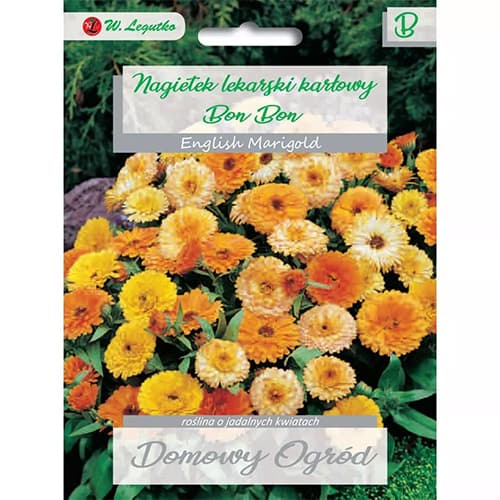 Měsíček lékařský trpasličí Bon Bon, směs obrázek 1 artikel 69660