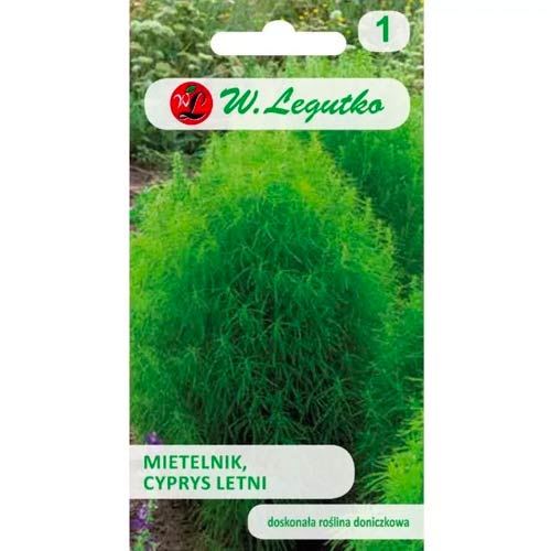 Mietelnik (Сypřiš letní) obrázek 1 artikel 78580