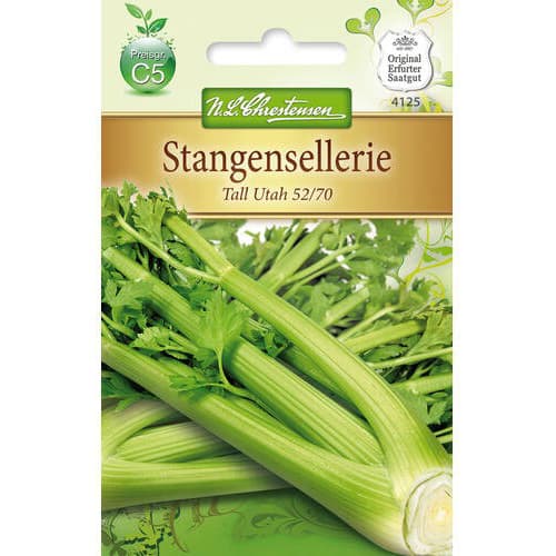 Miřík celer Tall Utah 52/70 obrázek 1 artikel 78753