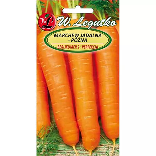 Mrkev jídla pozdní Berlikumer 2 obrázek 1 artikel 78483