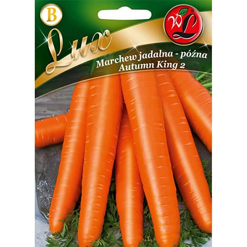 Mrkev pozdní Autumn King 2 artikel fotografie 1 Mrkev pozdní Autumn King 2 obrázek 1 artikel 78675