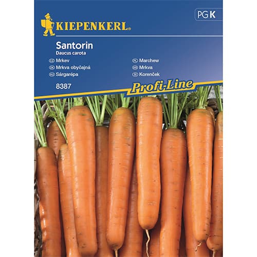 Mrkev Santorin F1 artikel fotografie 1 Mrkev Santorin F1 obrázek 1 artikel 87789