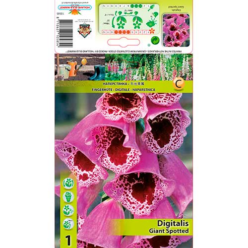 Náprstník Giant Spotted obrázek 1 artikel 70384