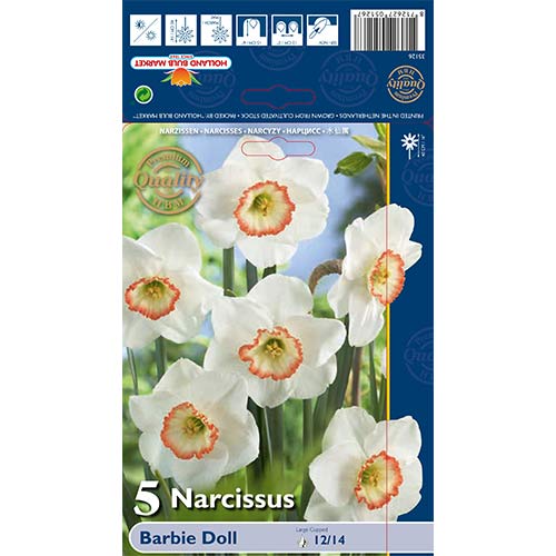 Narcis Barbie Doll artikel fotografie 1 Narcis Barbie Doll obrázek 1 artikel 67639