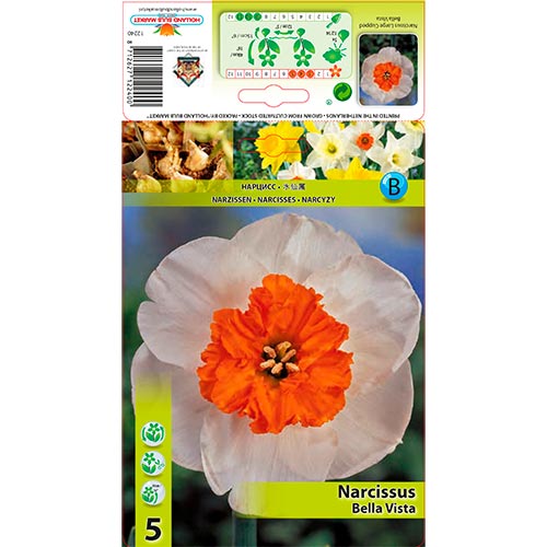 Narcis Bella Vista obrázek 1 artikel 67640