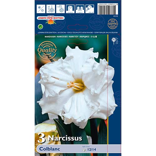 Narcis Colblanc artikel fotografie 1 Narcis Colblanc obrázek 1 artikel 67648