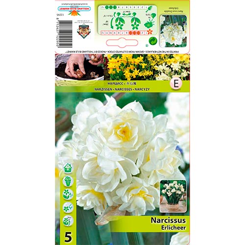Narcis Erlicheer obrázek 1 artikel 70285