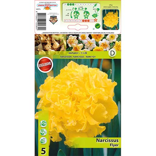 Narcis Flyer obrázek 1 artikel 67433