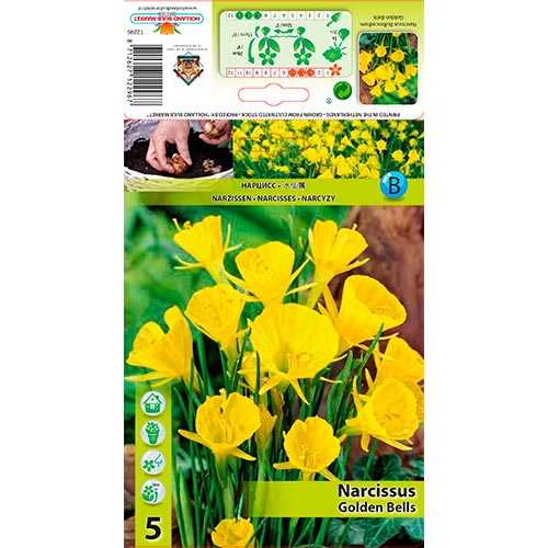 Narcis Golden Bells obrázek 1 artikel 68069