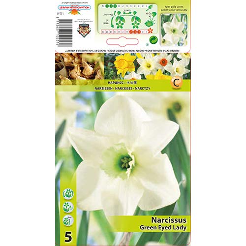 Narcis Green Eyed Lady artikel fotografie 1 Narcis Green Eyed Lady obrázek 1 artikel 67429