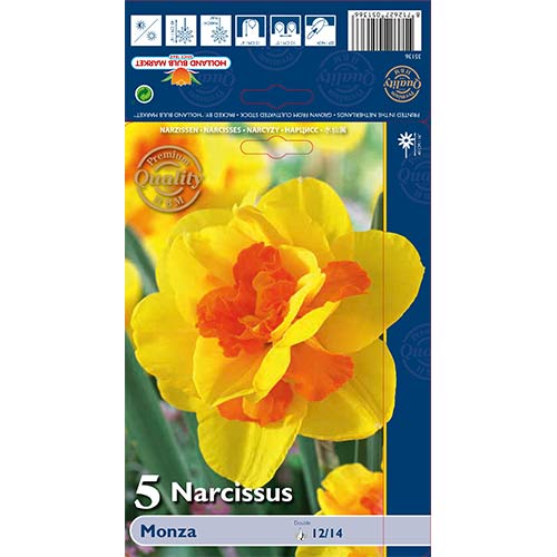 Narcis Monza artikel fotografie 1 Narcis Monza obrázek 1 artikel 70237