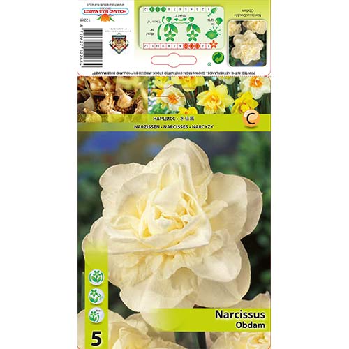 Narcis Obdam obrázek 1 artikel 70286
