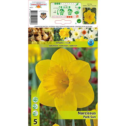 Narcis Park Sun artikel fotografie 1 Narcis Park Sun obrázek 1 artikel 67654