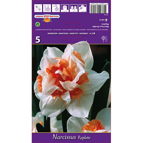 Narcis Replete obrázek 1 artikel 68071