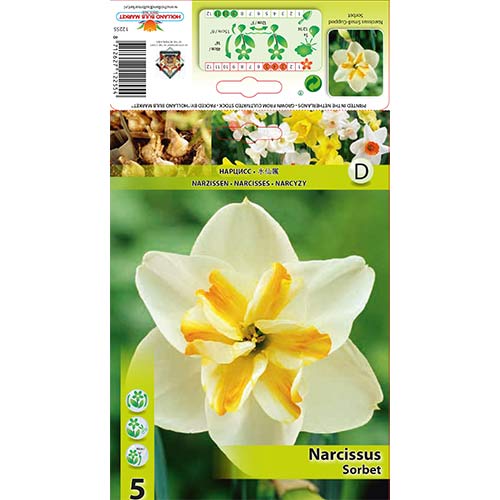 Narcis Sorbet artikel fotografie 1 Narcis Sorbet obrázek 1 artikel 67430
