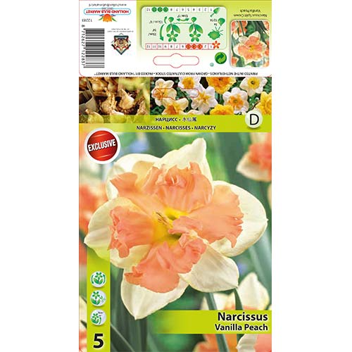 Narcis Vanilla Peach obrázek 1 artikel 67437