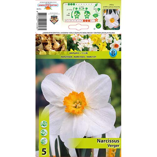 Narcis Verger artikel fotografie 1 Narcis Verger obrázek 1 artikel 70279