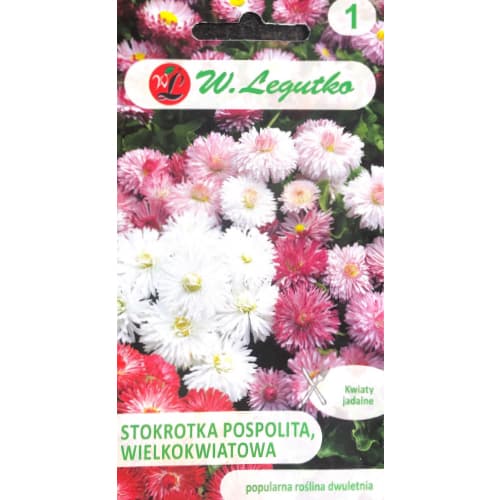 Obyčejná kopretina velkokvětá, směs obrázek 1 artikel 50122