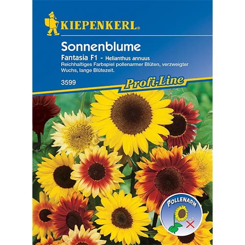 Okrasná slunečnice Fantasia F1 obrázek 1 artikel 86320