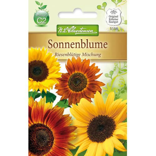 Okrasná slunečnice Gigant, směs obrázek 1 artikel 78915