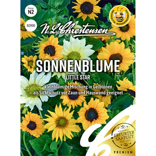 Okrasná slunečnice Little Star obrázek 1 artikel 86189