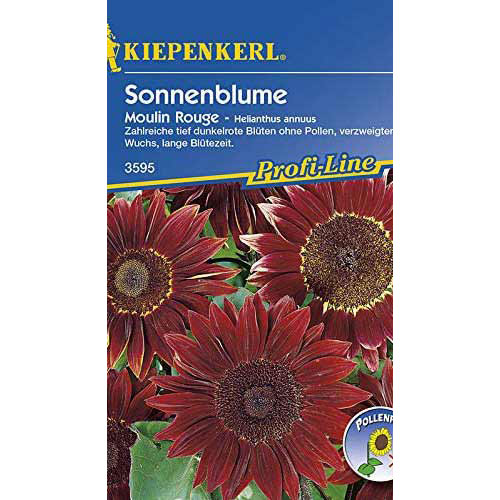 Okrasná slunečnice Moulin Rouge obrázek 1 artikel 86325