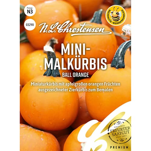 Okrasná tykev Ball Orange obrázek 1 artikel 86172