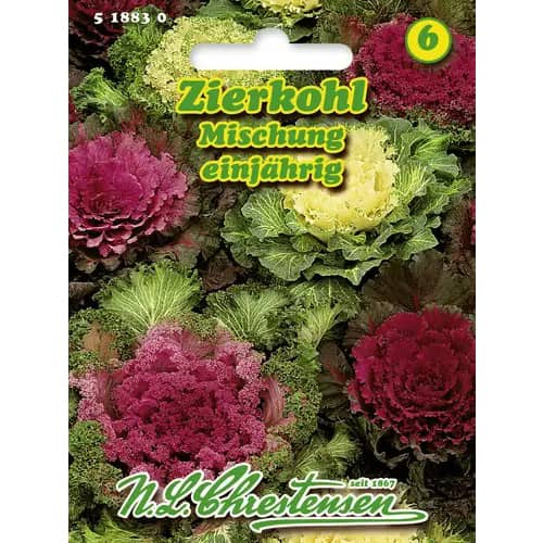 Okrasné zelí, směs obrázek 1 artikel 96404