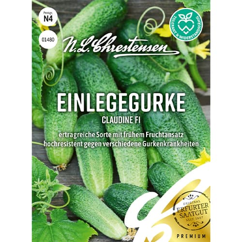 Okurka Claudine F1 obrázek 1 artikel 86034