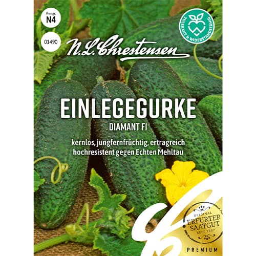 Okurka Diamant F1 obrázek 1 artikel 86035