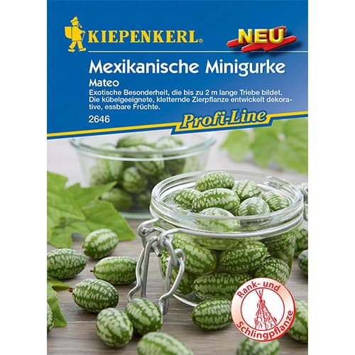 Okurka mexická Mateo obrázek 1 artikel 96634