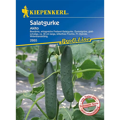 Okurka obecná Akito, F1 obrázek 1 artikel 96667