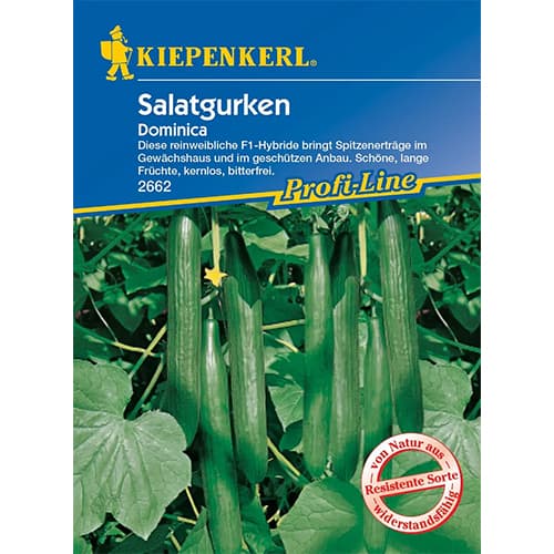 Okurka obecná Dominica F1 obrázek 1 artikel 96669