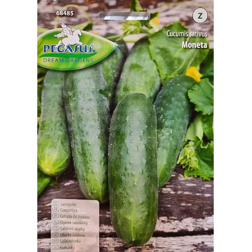 Okurka obecná Moneta artikel fotografie 1 Okurka obecná Moneta obrázek 1 artikel 96670